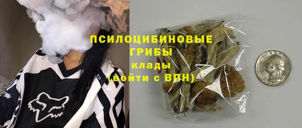 Альфа ПВП Алзамай