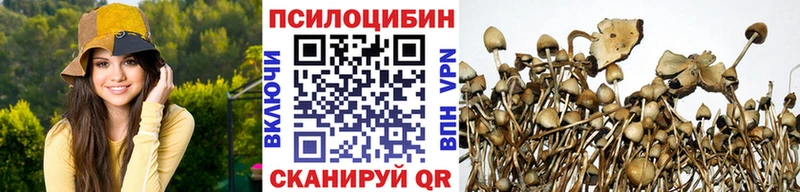 Галлюциногенные грибы GOLDEN TEACHER Фёдоровский